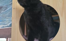 Paseo Del Mar Seaside Inn